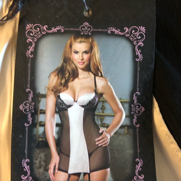 Be Wicked! I piece satin and mesh cami. - Picture 8 of 11